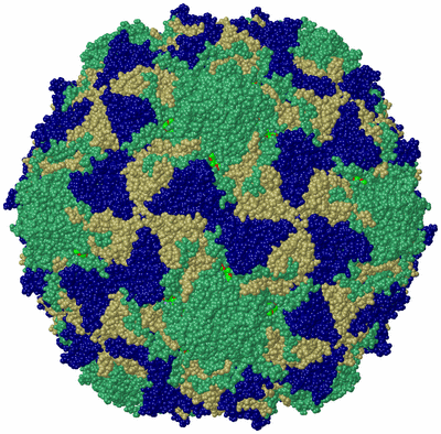 Image Biol. Unit 1 - sites