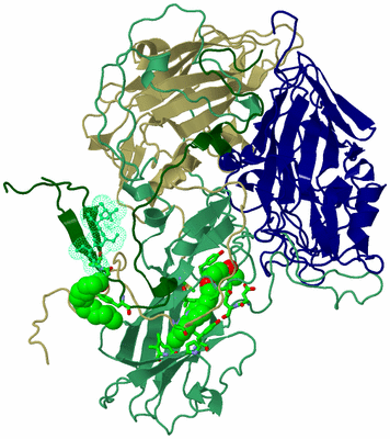 Image Asym. Unit - sites