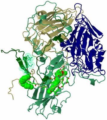 Image Asym. Unit - sites