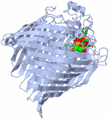 Image Biol. Unit 1 - sites