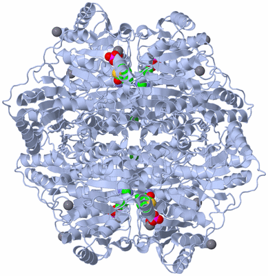 Image Biological Unit 1