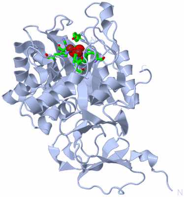 Image Biol. Unit 1 - sites