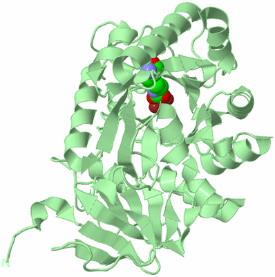 Image Biological Unit 2