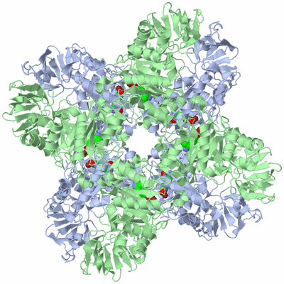 Image Biological Unit 3