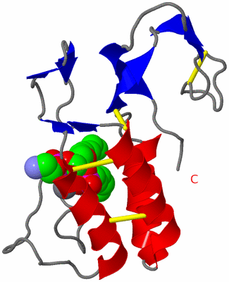 Image Asymmetric Unit