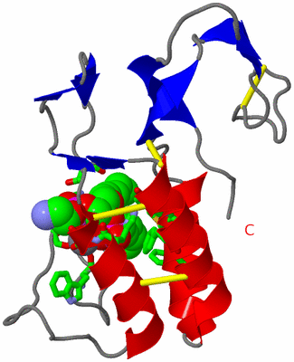 Image Asym. Unit - sites