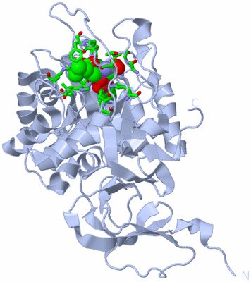 Image Biol. Unit 1 - sites