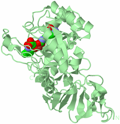 Image Biological Unit 2