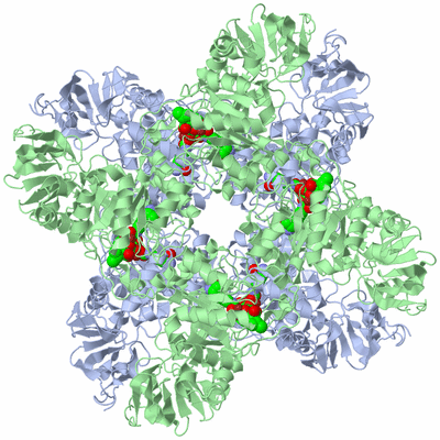 Image Biological Unit 3