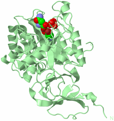 Image Biological Unit 1