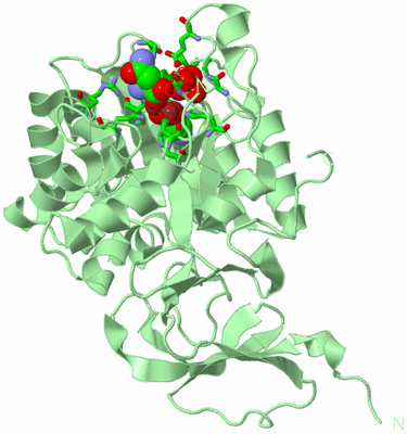 Image Biol. Unit 1 - sites