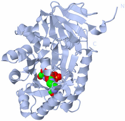 Image Biological Unit 2