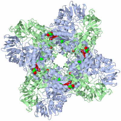 Image Biological Unit 3