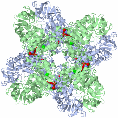 Image Biological Unit 4