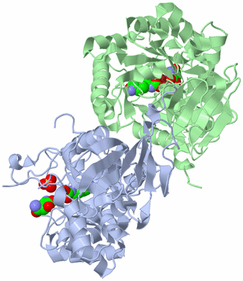 Image Biological Unit 6