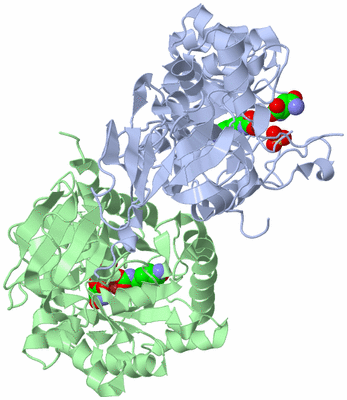 Image Biological Unit 7