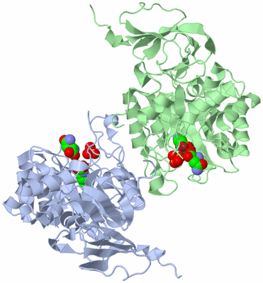 Image Biological Unit 8