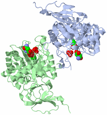 Image Biological Unit 9