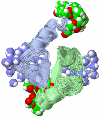 Image NMR Structure - all models