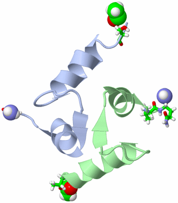 Image NMR Structure - model 1, sites