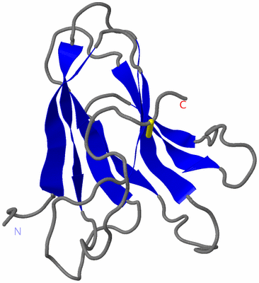 Image NMR Structure - model 1