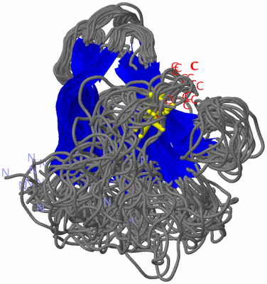 Image NMR Structure - all models