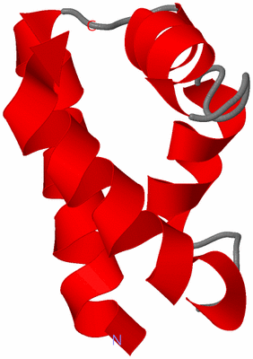 Image NMR Structure - model 1