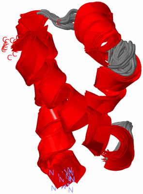 Image NMR Structure - all models