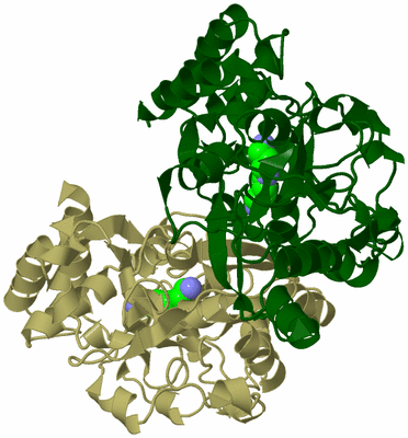 Image Biological Unit 2