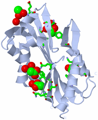 Image Biol. Unit 1 - sites