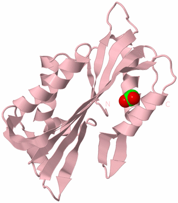 Image Biological Unit 3