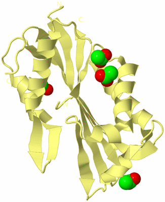 Image Biological Unit 4