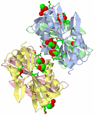 Image Asym. Unit - sites
