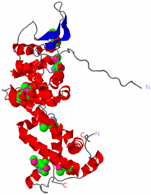Image Asymmetric Unit