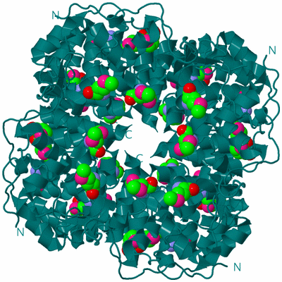Image Biological Unit 1