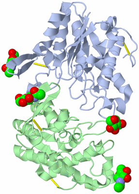 Image Asymmetric Unit