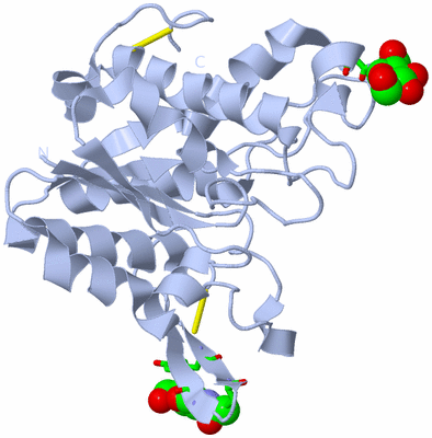 Image Biol. Unit 1 - sites