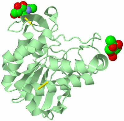 Image Biological Unit 2