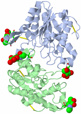 Image Asym. Unit - sites