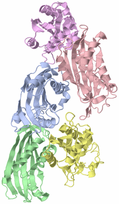 Image Asymmetric Unit