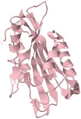 Image Biological Unit 3