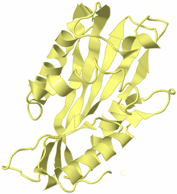 Image Biological Unit 4