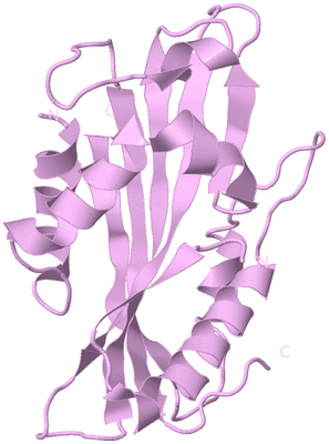 Image Biological Unit 5