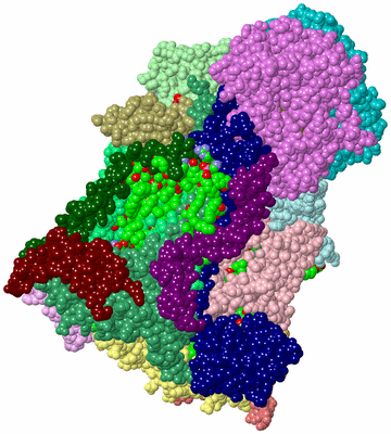 Image Asym./Biol. Unit - sites