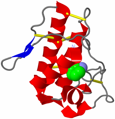 Image Asym./Biol. Unit