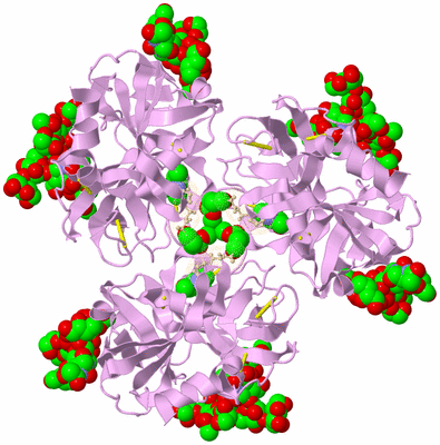 Image Biological Unit 1