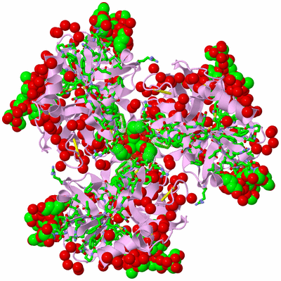 Image Biol. Unit 1 - sites