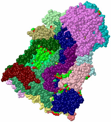 Image Asym./Biol. Unit - sites