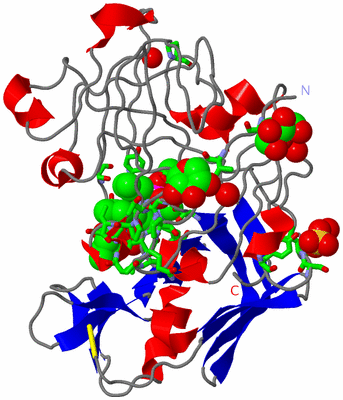 Image Asym./Biol. Unit - sites