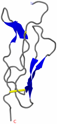 Image NMR Structure - model 1